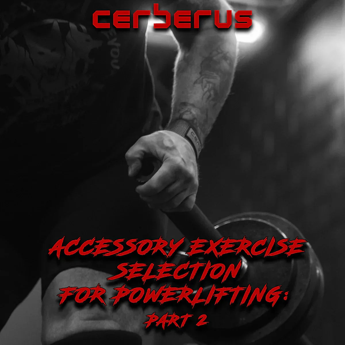Accessory Exercise Selection For Powerlifting: Part 2