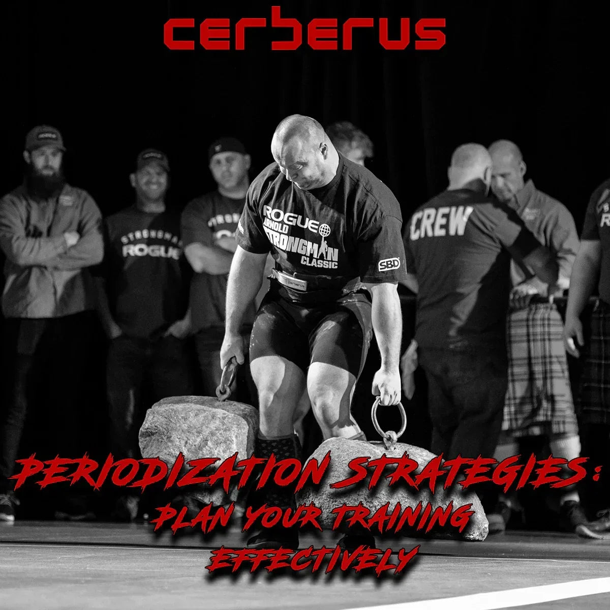 Periodization Strategies: Plan Your Training Effectively