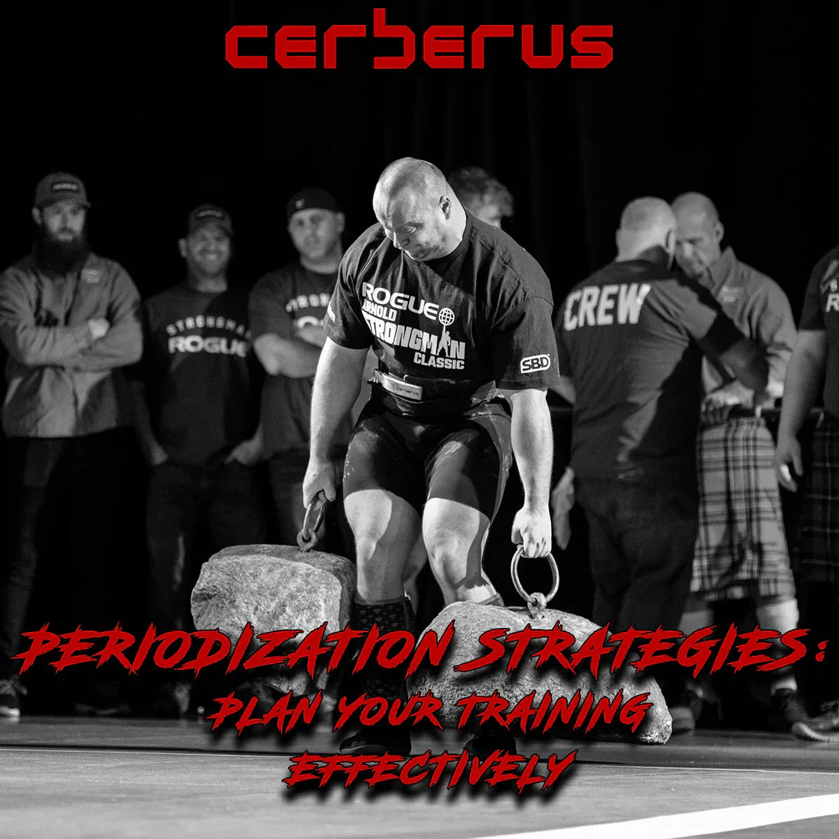 Periodization Strategies: Plan Your Training Effectively