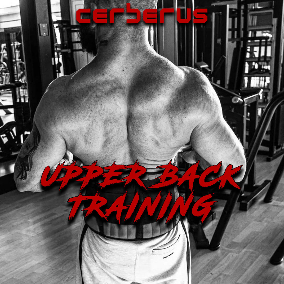 Upper Back Training For Strength Sports