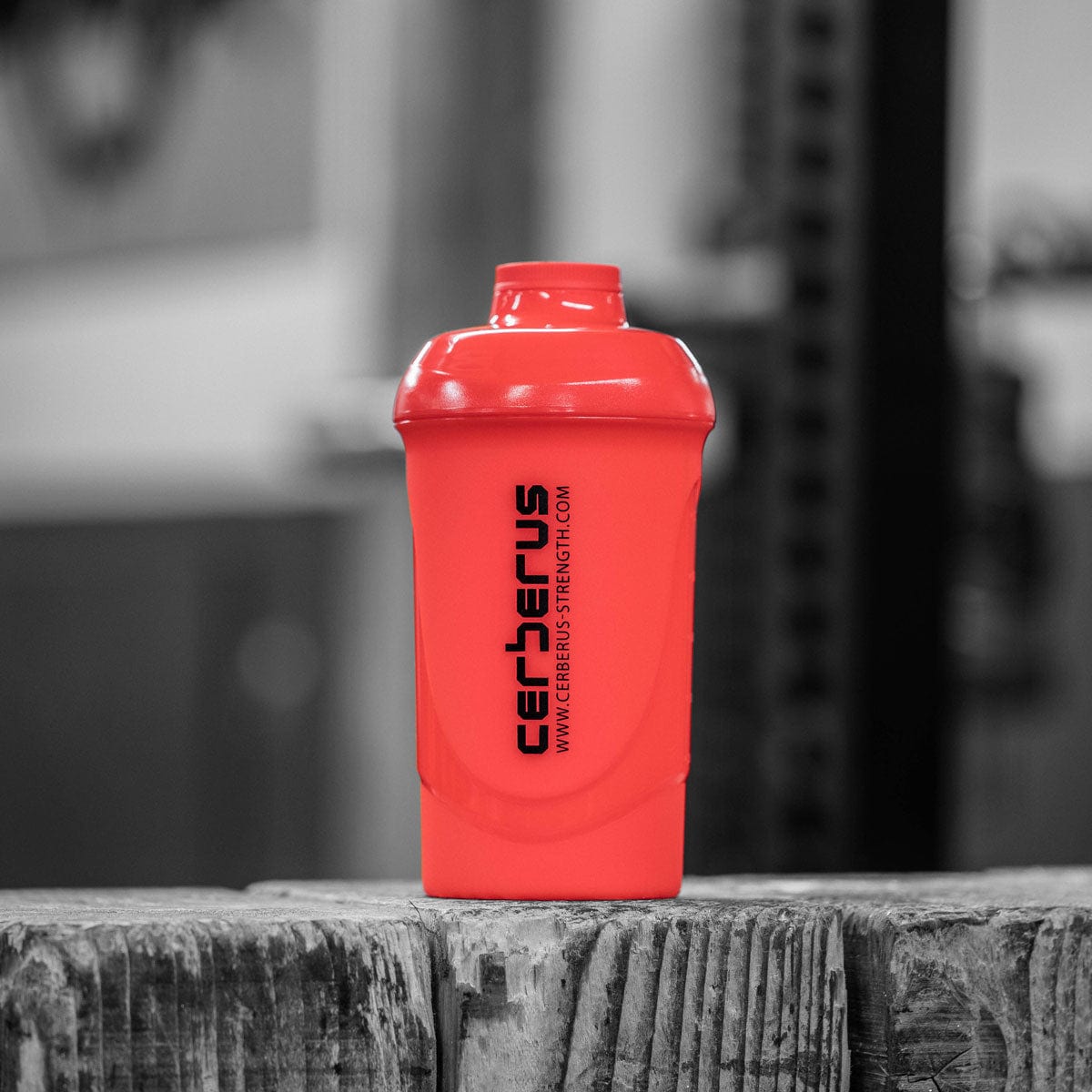 Cerberus Essential Shaker - Cerberus-strength