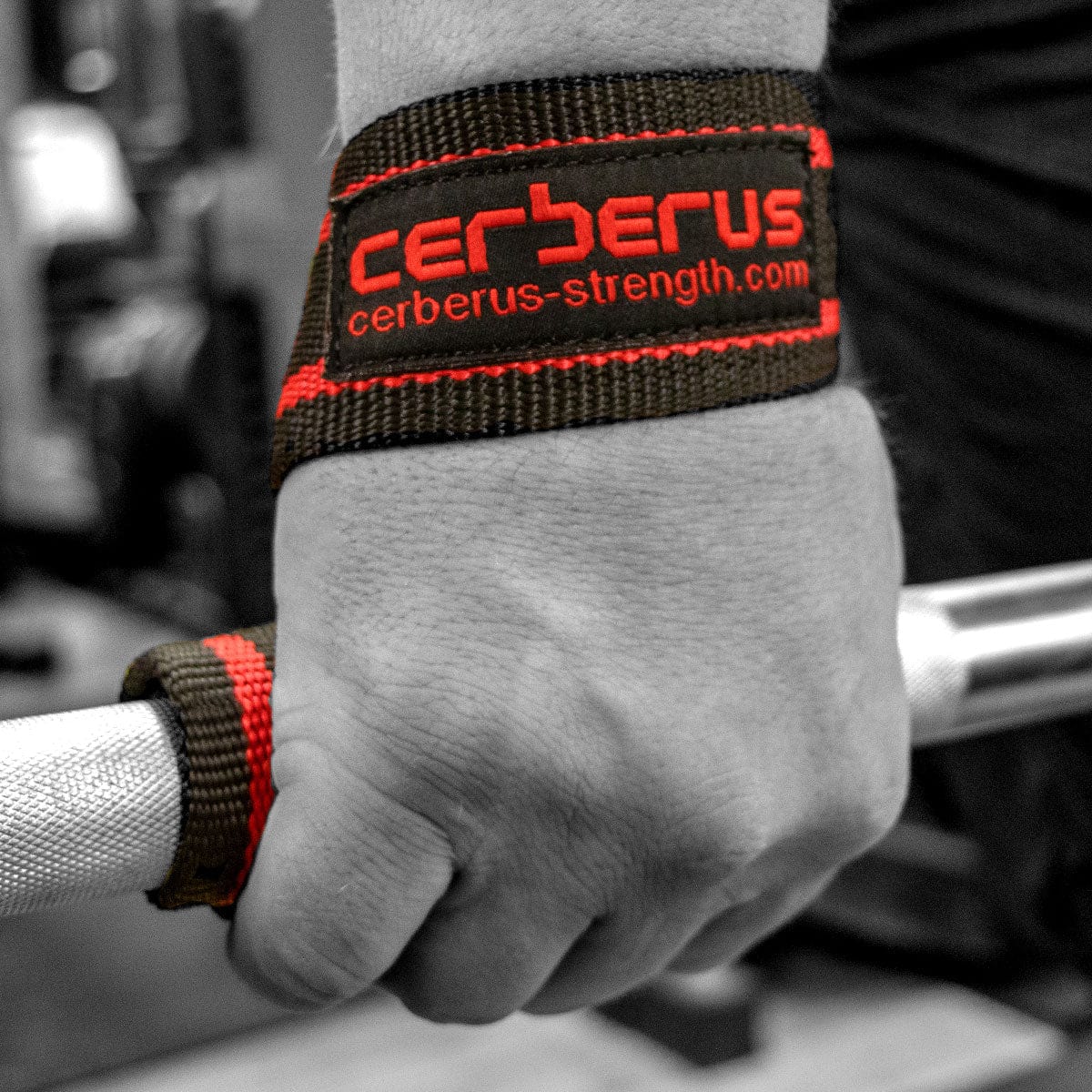 HDP Big Boy Lifting Straps