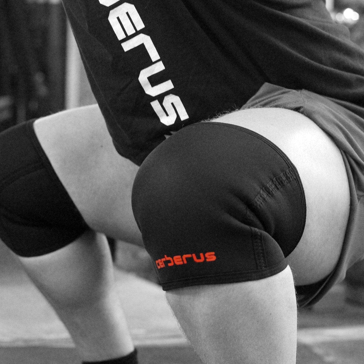 Cerberus Power Knee Sleeves- Cerberus-strength